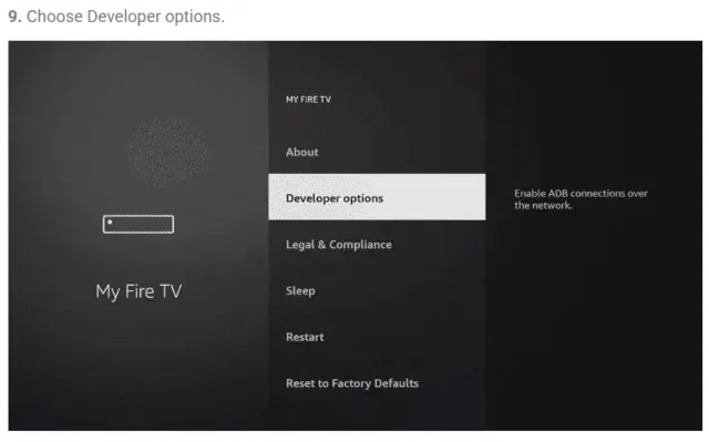 Fire Stick settings showing Developer options